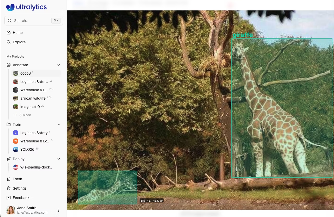 Segmentation annotation: giraffe